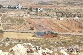 اعتداءات قطعان المستوطنين وقوات الاحتلال على المواطنين في المنطقة الجنوبية