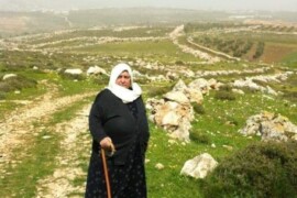 الحاجة ندى وفيق عبد الرازق ابو ريده في ذمة الله