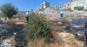 اندلاع حريق في منطقة السلوطحة