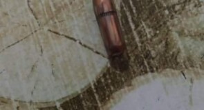 مناشدة لطلاب التوجيهي بعدم اطلاق النار والمفرقعات خلال احتفالاتهم