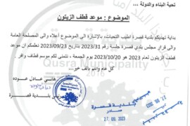 موعد قطف الزيتون في بلدة قصرة لعام 2023